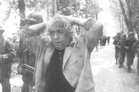 نمایی از فیلم