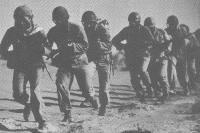 نمایی از فیلم