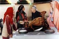 نمایی از فیلم